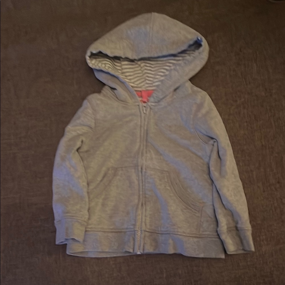 Mini Boden Gray Kids Hoodie (3-4Y)